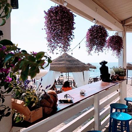 B&B Purple Italy Fiumicino Eksteriør bilde