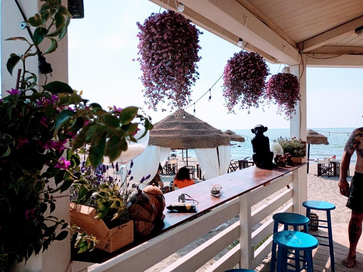 B&B Purple Italy Fiumicino Eksteriør bilde
